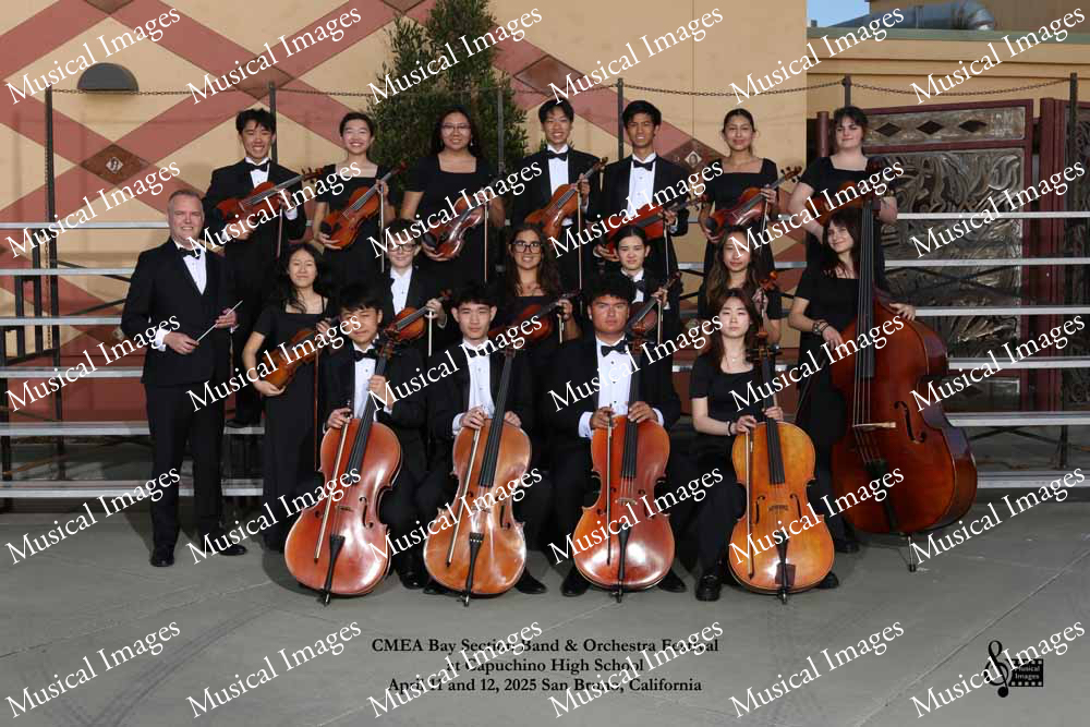 Musical Images